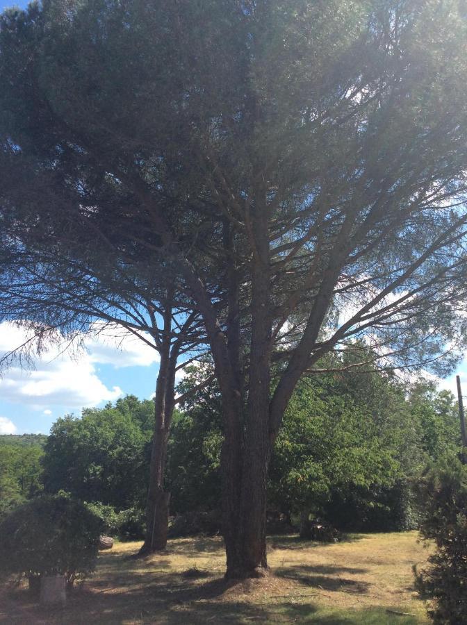 Le Jardin Du Moustoulac Chambres D'Hotes Καόρ Εξωτερικό φωτογραφία
