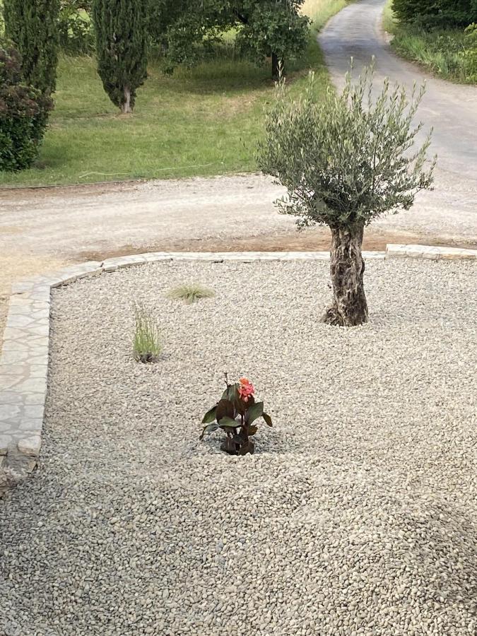 Le Jardin Du Moustoulac Chambres D'Hotes Καόρ Εξωτερικό φωτογραφία